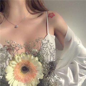 腾讯版装甲少女手游下载